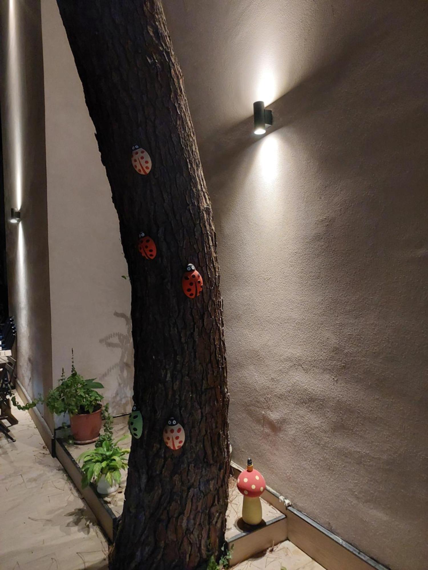 Holiday home Nio Planet Golem, Durres Golem (Tirana)